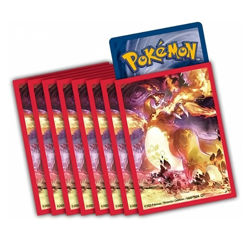 חבילת 65 סליבים מבית פוקימון קומפני - צ'אריזארד